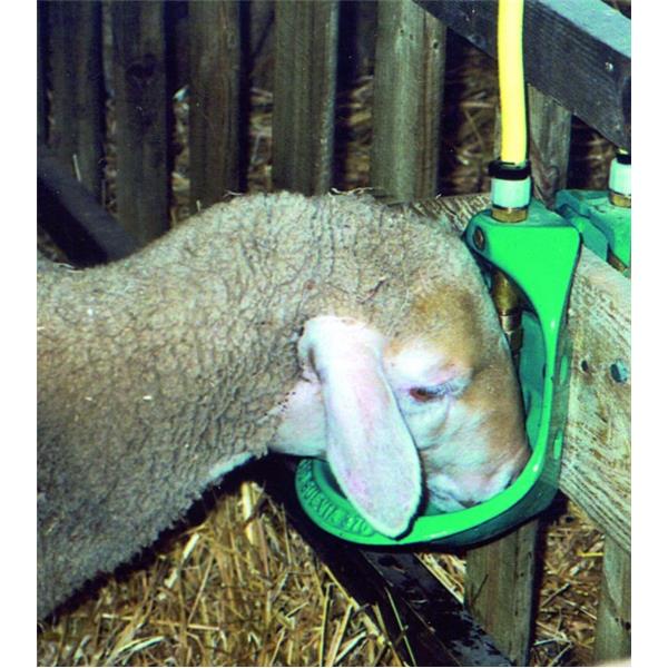 Napajalnik SUEVIA mod.370-mesing ventil 1/2