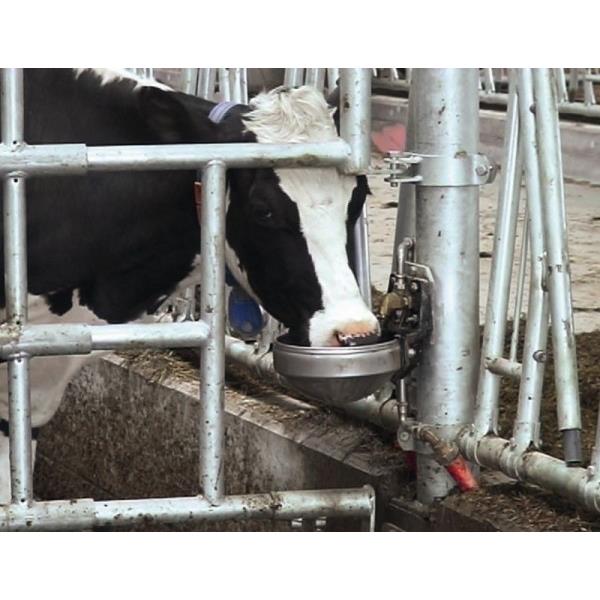 Napajalnik SUEVIA mod.1200-inox ventil 3/4