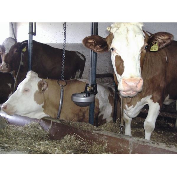 Napajalnik SUEVIA mod.1200-inox ventil 3/4