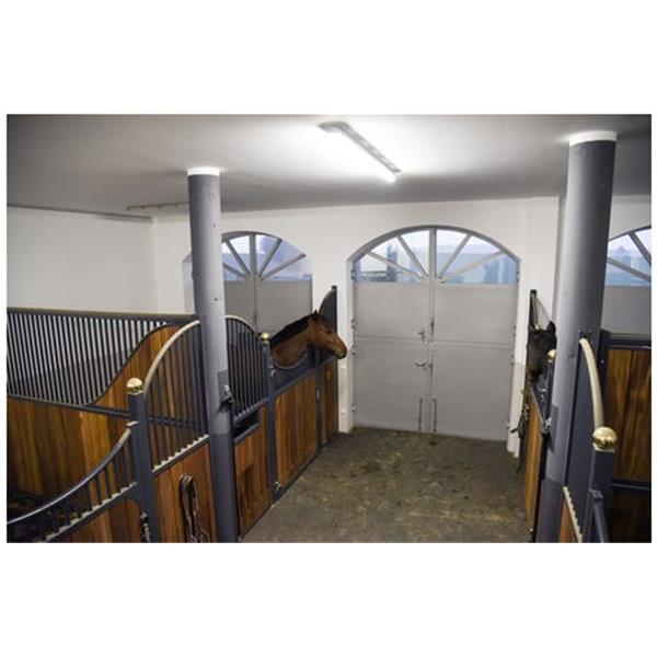 IPCam 360 FHD s 5-kratno optično povečavo