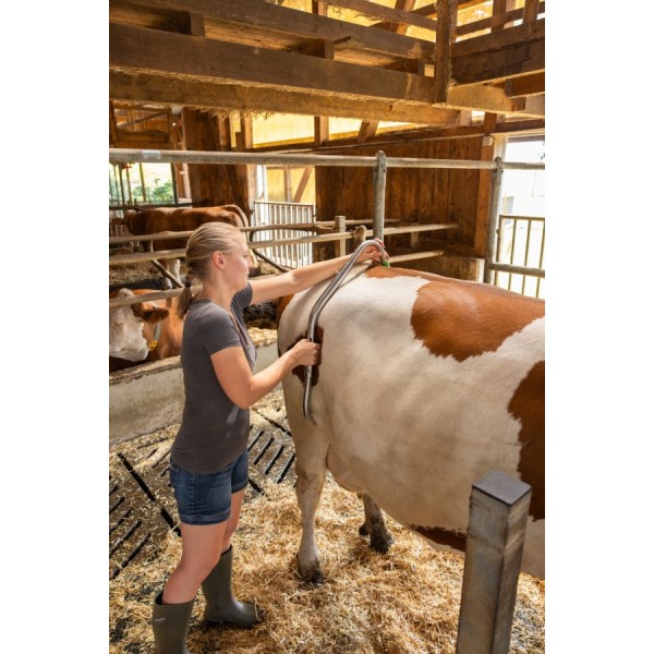 Kolčna spona Easy Release, pocinkana