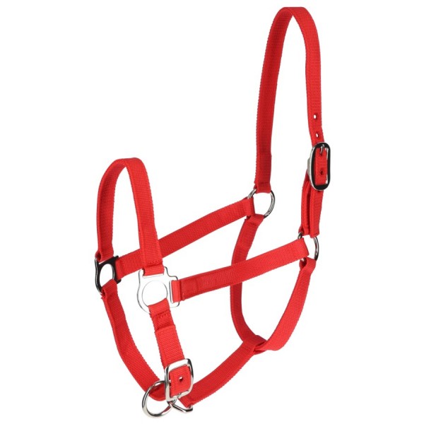 Uzda za vodenje krav - rdeča