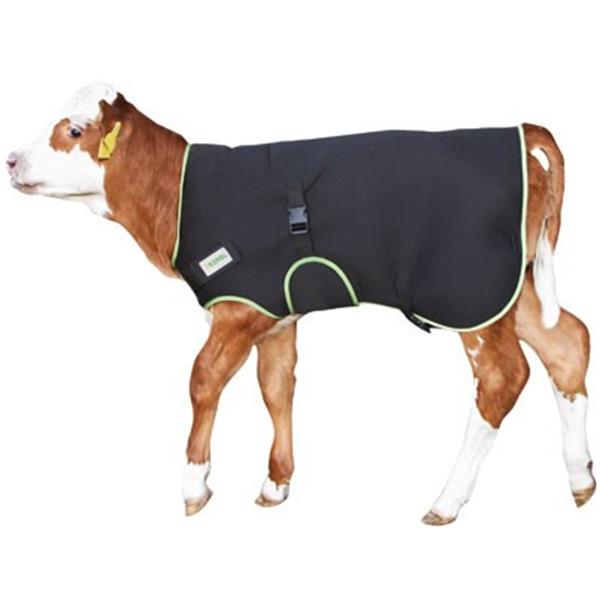 Deka za teleta Premium 80 cm