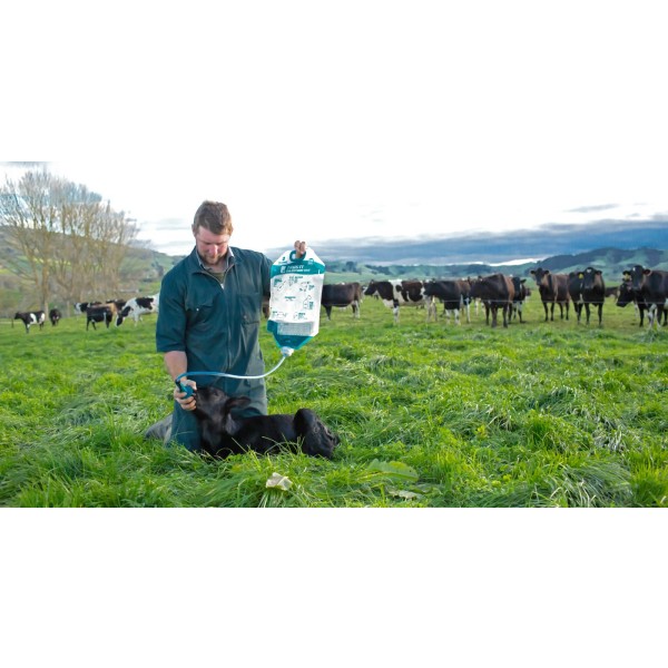 Antahi vrečke za mlezivo ( kolostrum ) - komplet