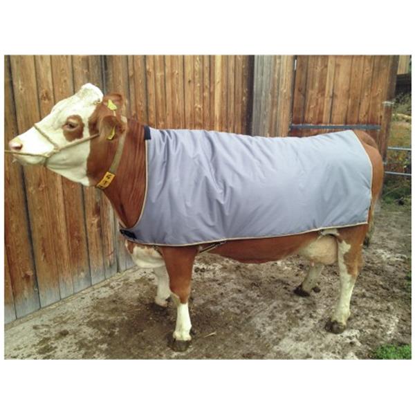 Termo - deka za krave