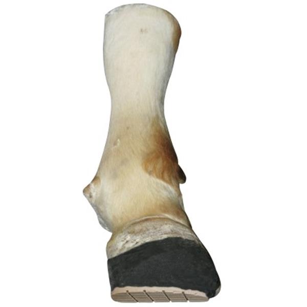 Technovit® 6091 - 10 v paketu vklj. s pospeševalom