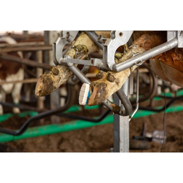 Kartuša Technobase® 2CB 210 ml