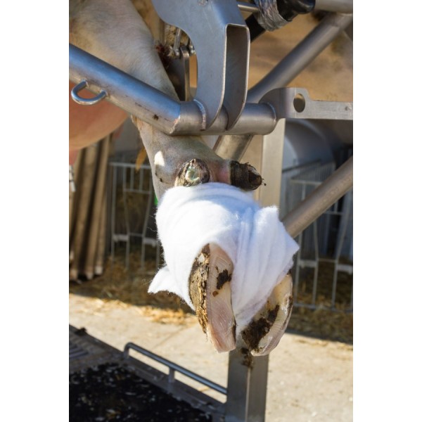 Vata v roli Rollino 10 cm x 3 m