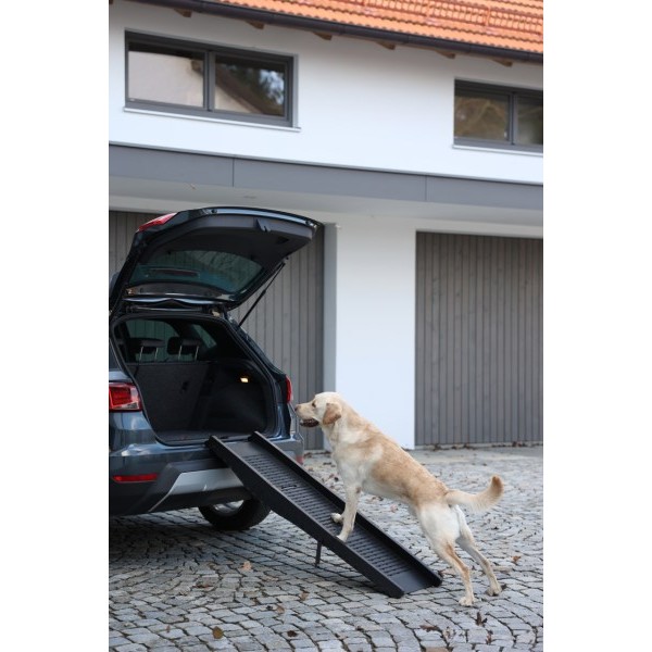 Rampa za psa