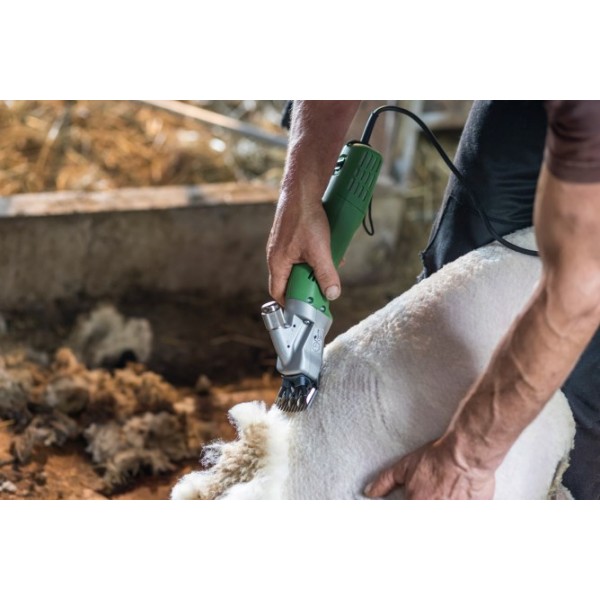 Škarje za striženje  Constanta4