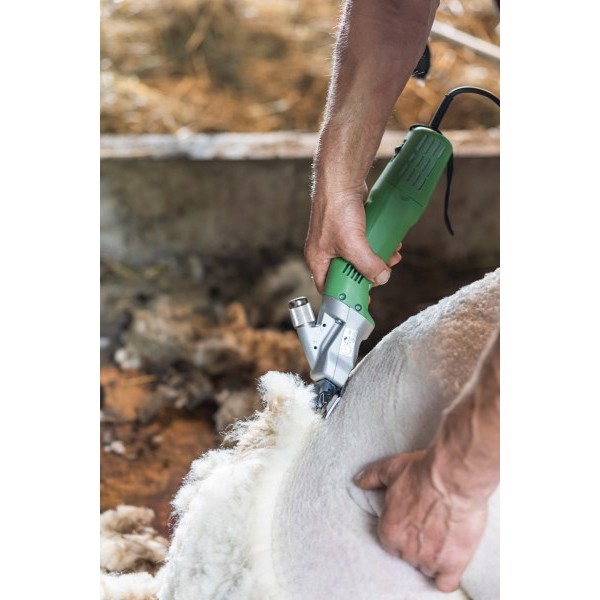 Škarje za striženje  Constanta4