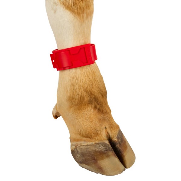 Trak za noge, širine 4 cm