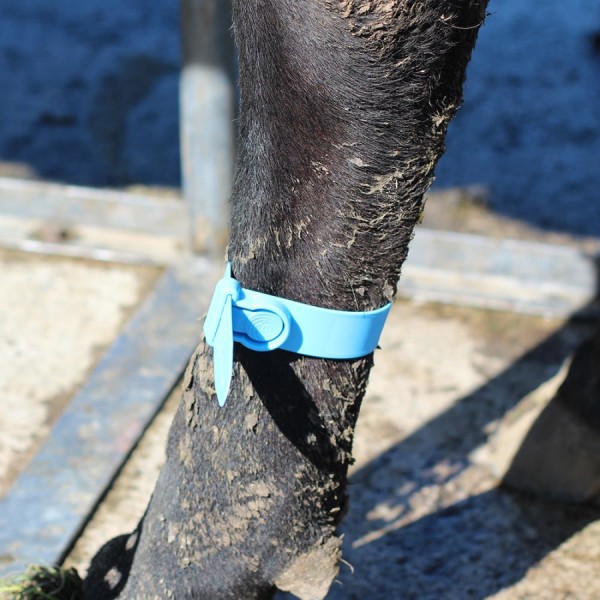 Spenjalni trak za označevanje Quick Strap 5/1