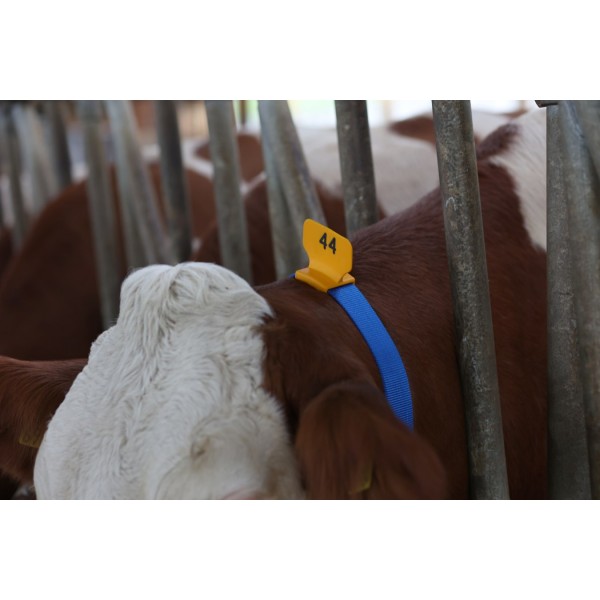 Številčna ploščica 25/1