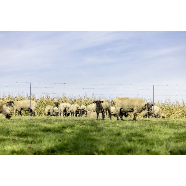 AKO TitanNet Premium XBraid