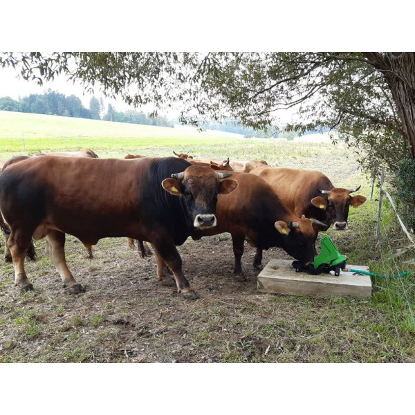 Pašna črpalka P100 DUO 1