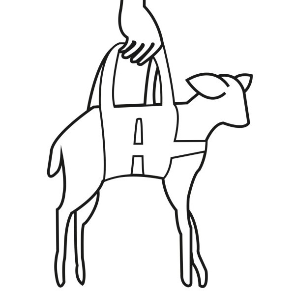 Tehtalna zanka za jagnja