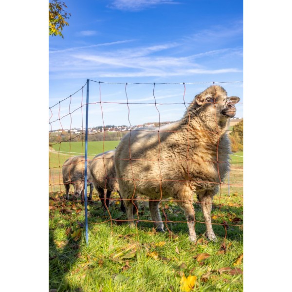 AKO OviNet Premium - PROMO