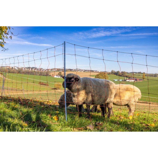 AKO OviNet Premium - PROMO