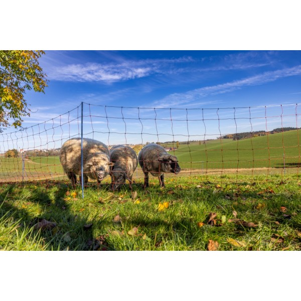 AKO OviNet Premium - PROMO