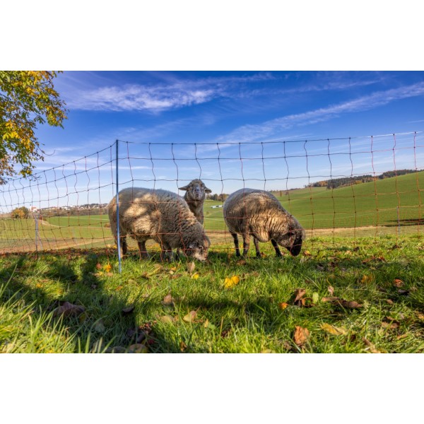 AKO OviNet Premium - PROMO