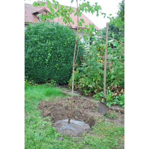 Mreža proti voluharjem