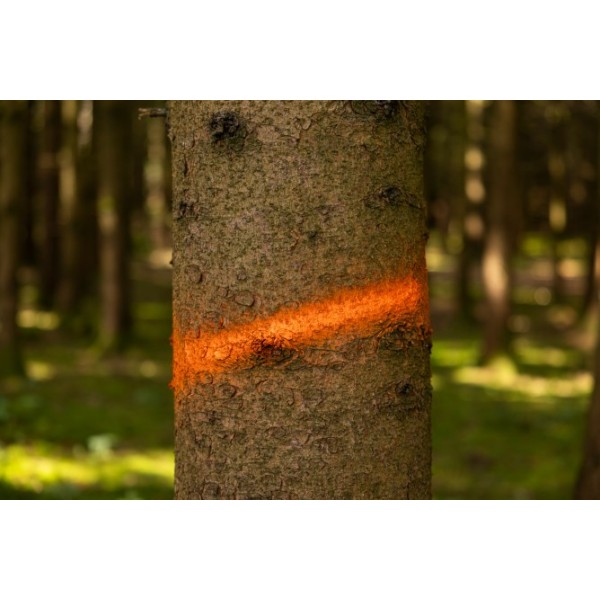 Sprej za označevanje Forst Neon