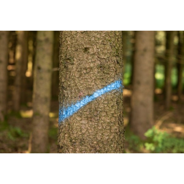 Sprej za označevanje Forst Neon