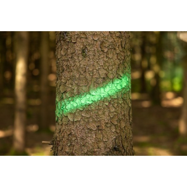 Sprej za označevanje Forst Neon