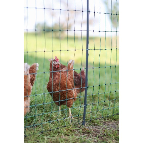 NEelektrična mreža za perutnino PREMIUM 