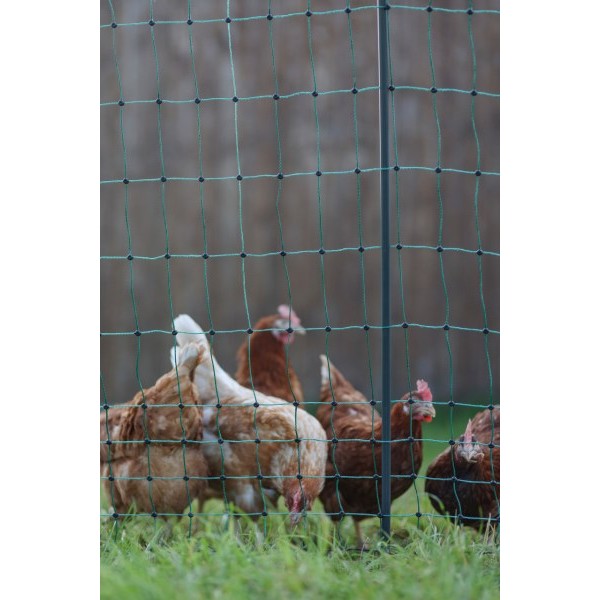 NEelektrična mreža za perutnino PREMIUM 