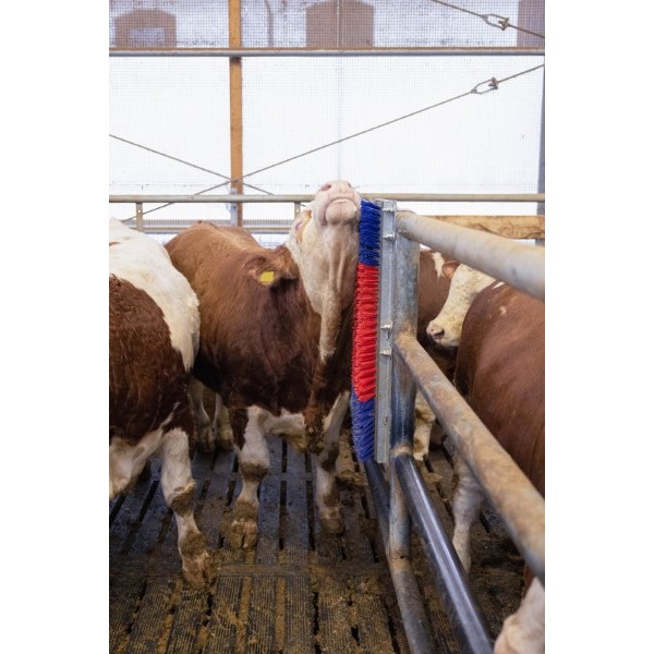 Krtača HAPPYCOW Bully