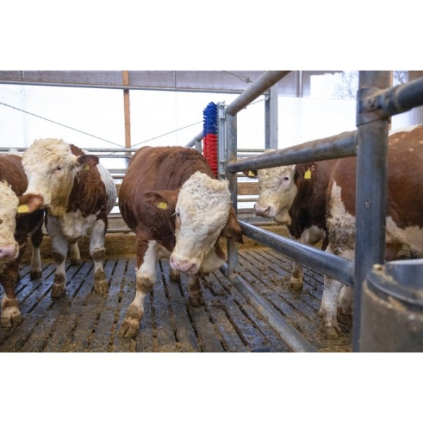 Krtača HAPPYCOW Bully