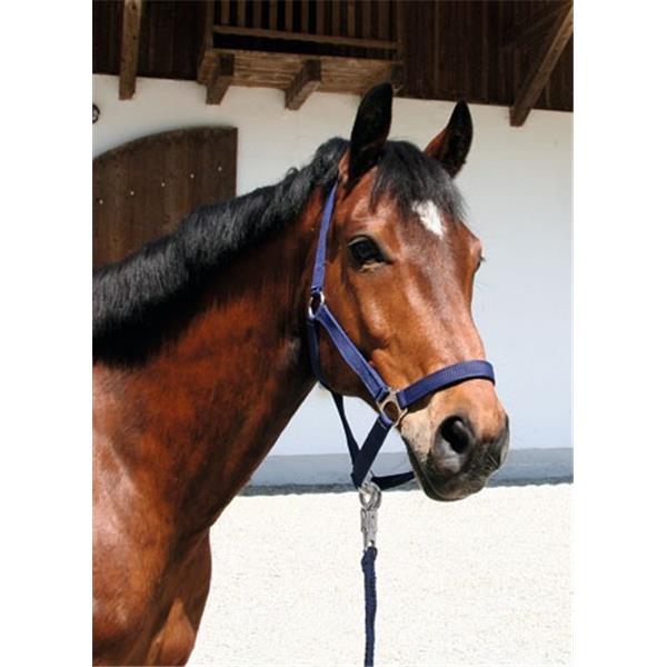 Povodec Classic, s karabinom