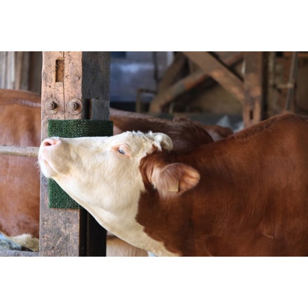 Blazina za praskanje in čiščenje KratzPad