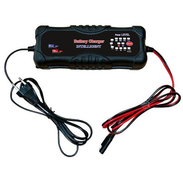 Polnilec za akumulatorje 12 V / 24 V