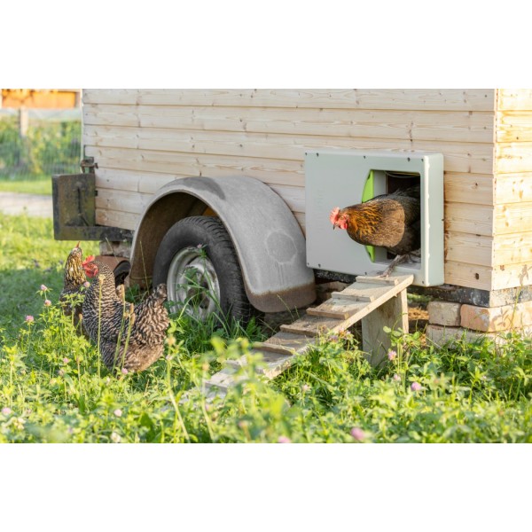 SmartCoop Vrata za kokoši