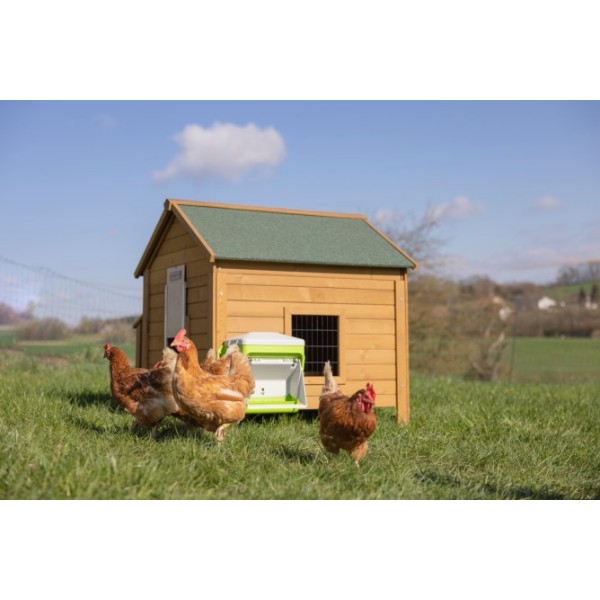 SmartCoop krmni avtomat z zaščitno loputo