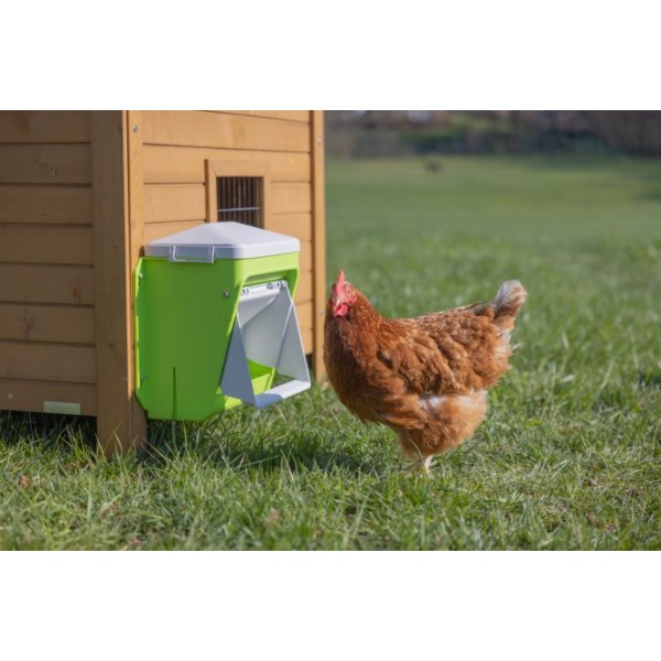 SmartCoop krmni avtomat z zaščitno loputo