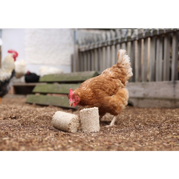 Briketi iz pirinih luščin 24/1