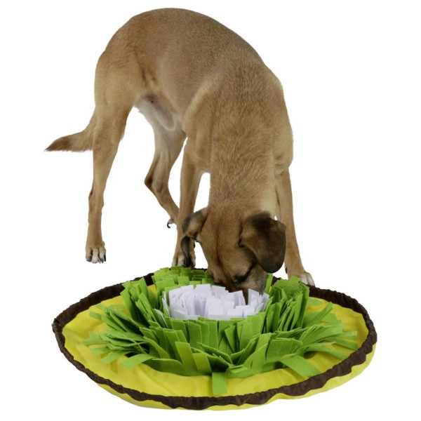 Sniff Carpet Bowl