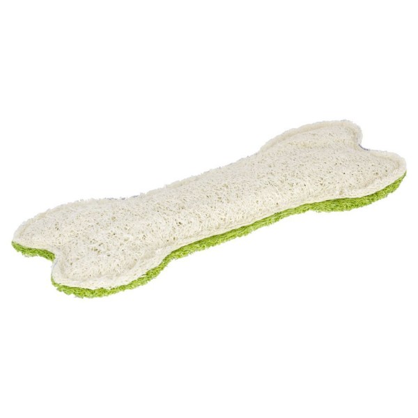 Kost Loofah