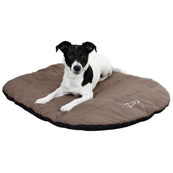 TRAVELLER potovalna blazina