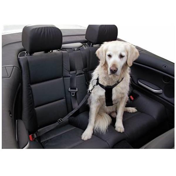 Oprsnica za psa za v avto
