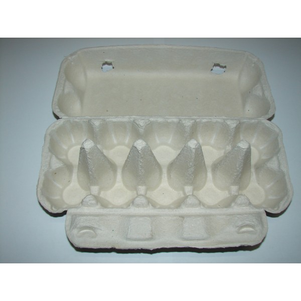 Kartonska škatla za 10 jajc 