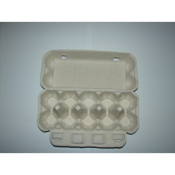 Kartonska škatla za 10 jajc 