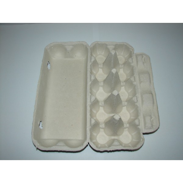 Kartonska škatla za 10 jajc 