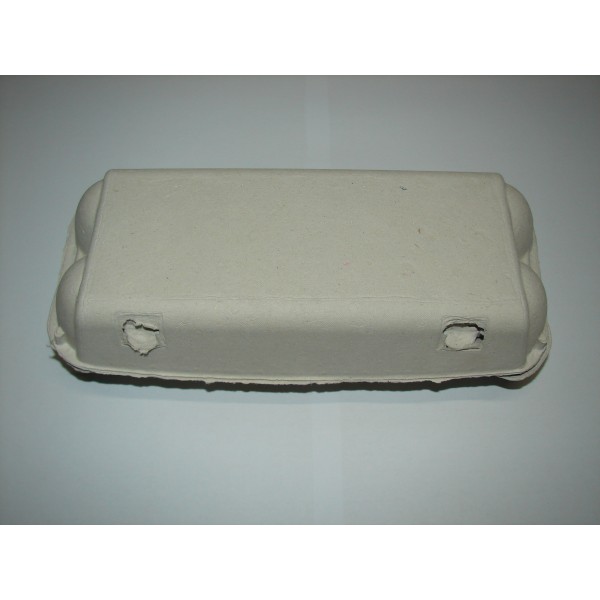 Kartonska škatla za 10 jajc 