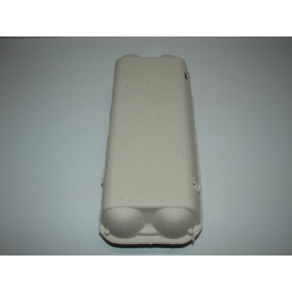 Kartonska škatla za 10 jajc 