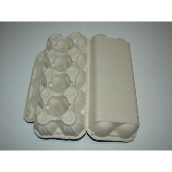 Kartonska škatla za 10 jajc 